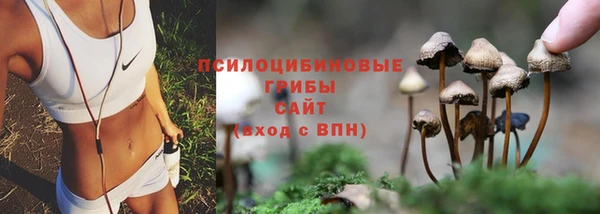 соль курить ск Алексеевка