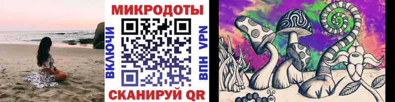 Галлюциногенные грибы Cubensis  Находка 